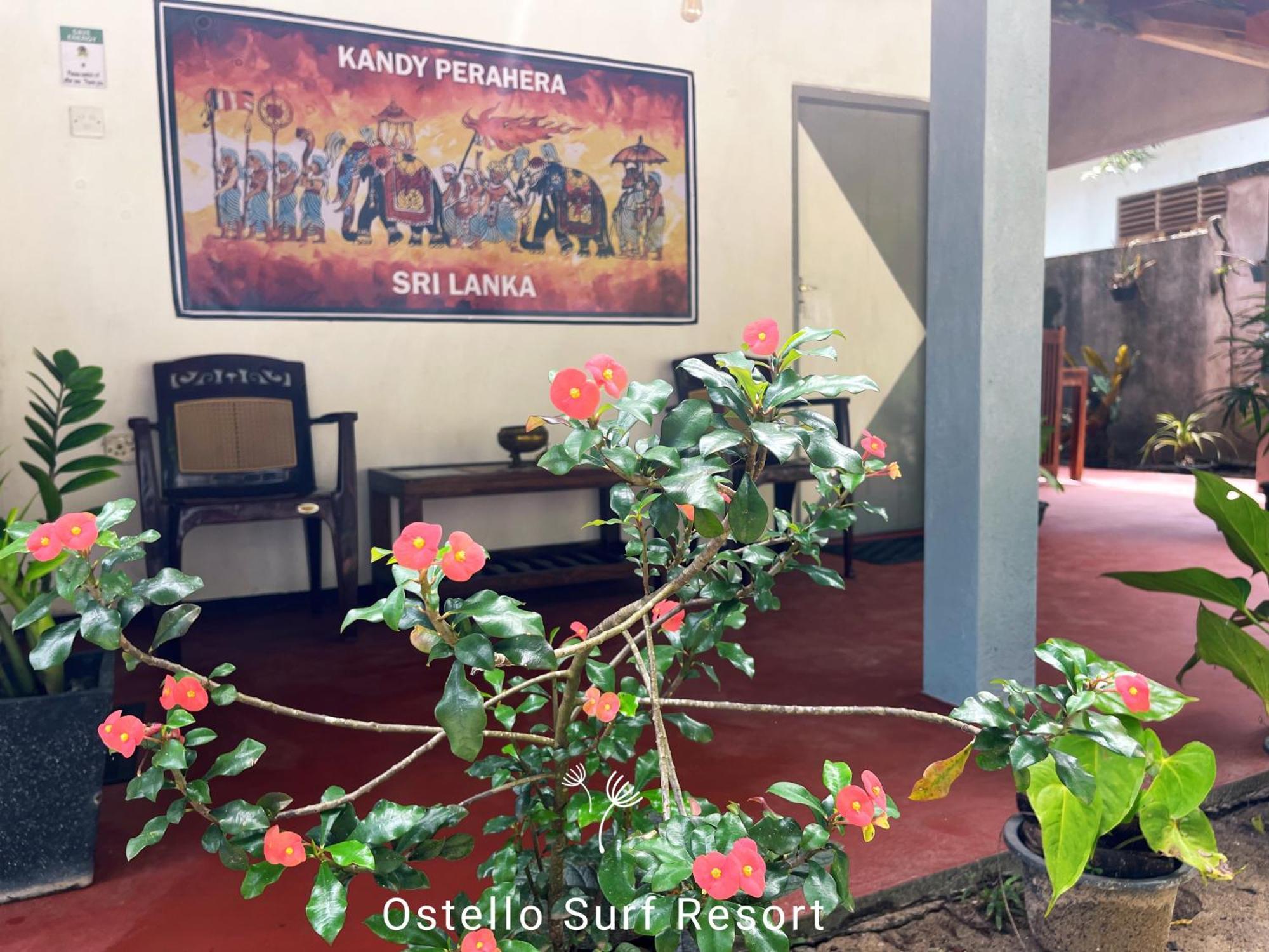Ostello Surf Resort Ahangama Habitación foto